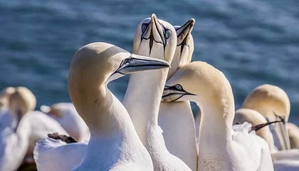 金华最新的高价找中介取公积金违法吗方法分享(金华中介取公积金怎么收费教程)