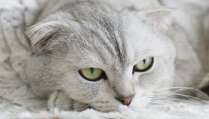 金华最新的高价医保卡惠民保险代扣怎么取消掉了方法分享(金华惠民医保怎么报销教程)