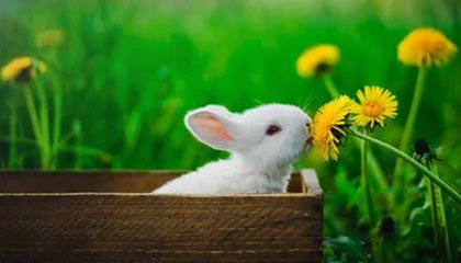 金华最新的高价医保个人账户余额微信查询方法分享(金华医保查询个人账户明细怎么查微信教程)